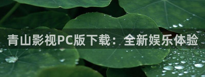 午夜影视网